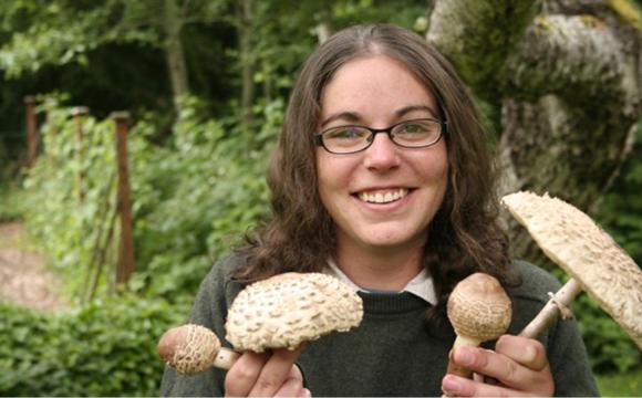 Mushrooms&#39;: Autumn&#39;s Wild Harvest - anna_mchugh