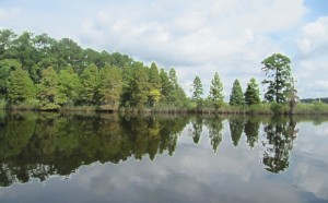 Craven County Clean Sweep