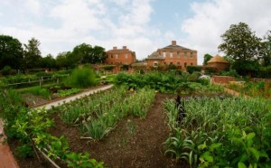 Tryon_Kitchen_Garden_Compressed