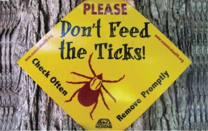 ticks