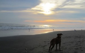 Atlantic Beach NC