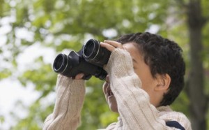 birding_bonanza_2014