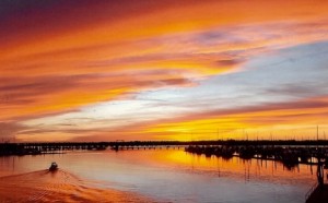 "End of perfect North Carolina day" Photo by: Pat Nelson