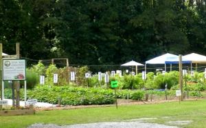 River Bend Community Organic Garden