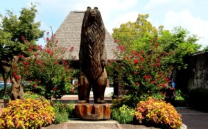 Bear Plaza New Bern