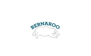 Bernaroo Music and Arts Festival