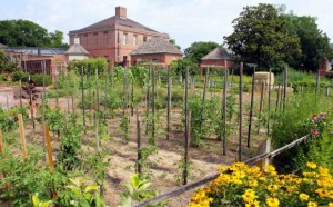 Tryon Palace Kitchen Garden