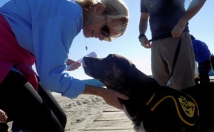 Walk theWaterfront Adopt-A-Thon