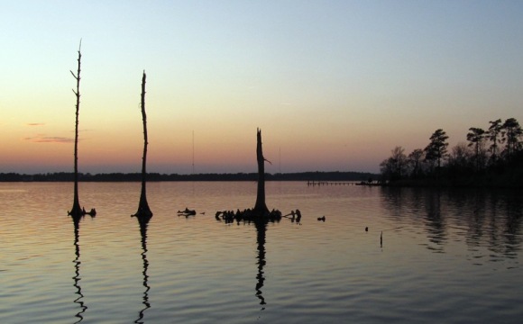 Neuse River