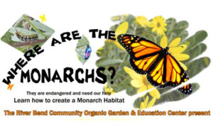 Where are the Monarchs