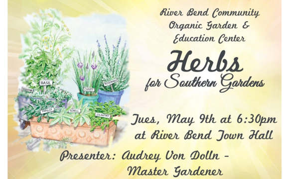 Herbs for Southern Gardens