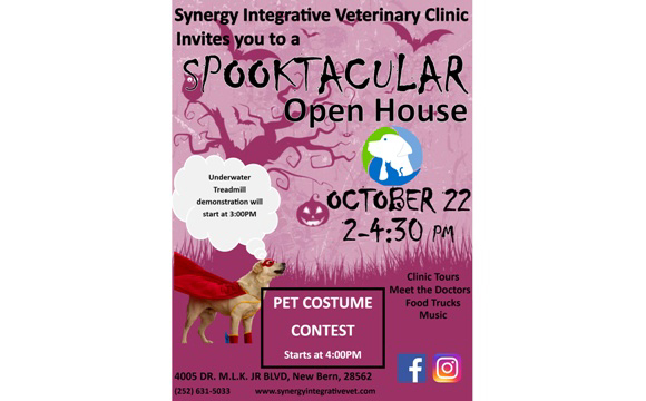 Synergy Interactive Veterinary Clinic