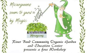 Microgreens Workshop