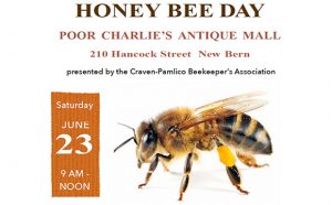 Honey Bee Day