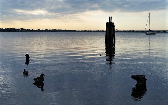 Neuse River - Union Point Park