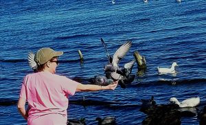 Feeding birds at Union Point Park