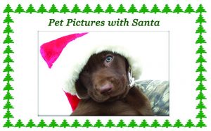 Pet Pictures with Santa