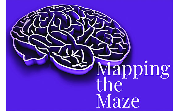 Mapping the Maze