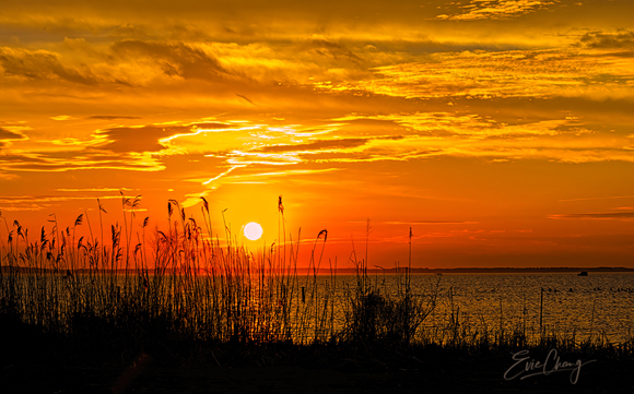 Corolla Sunset by Evie Chang Henderson