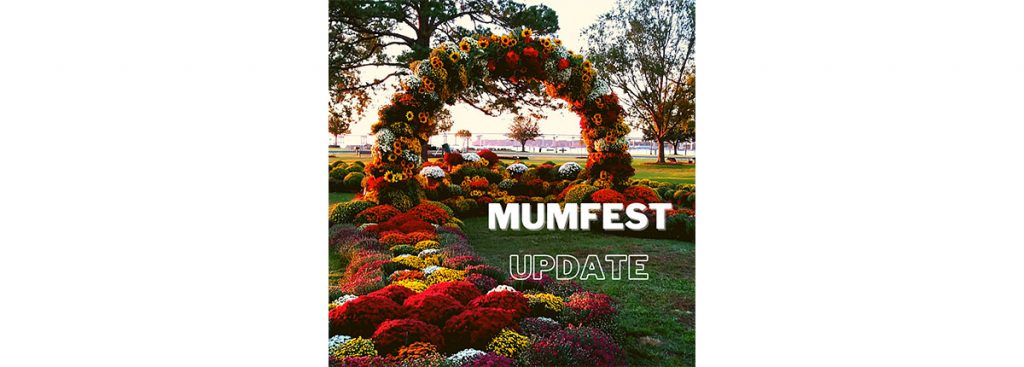 MumFest Update