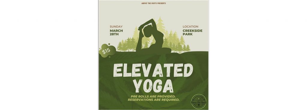 Elevated Yoga