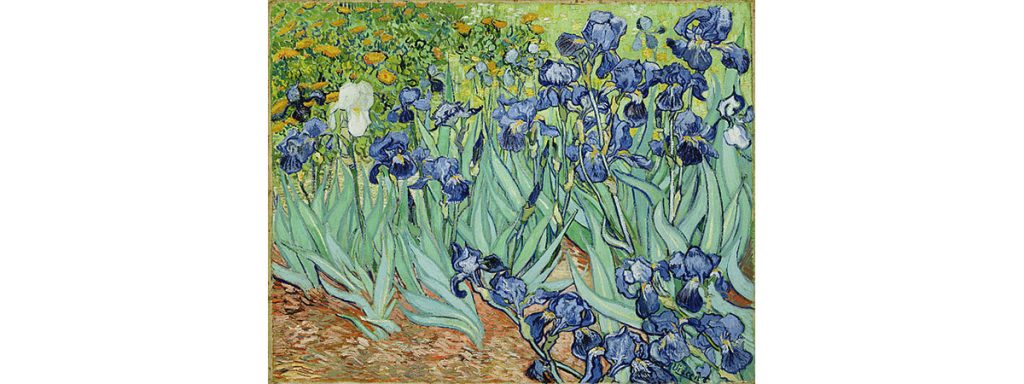 Irises by Vincent van Gogh 1889