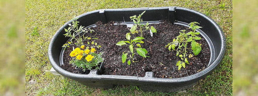 Inground Pond Planter