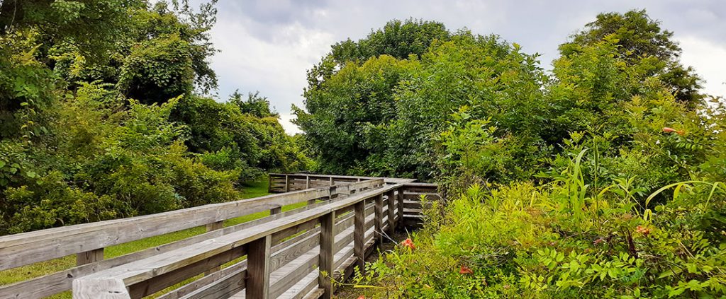 Boardwalk at Lawson Creek Park