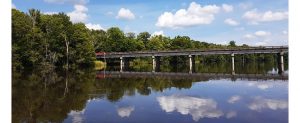 Bridge over Neuse River near Weyerhauser. (Laura Johnson)