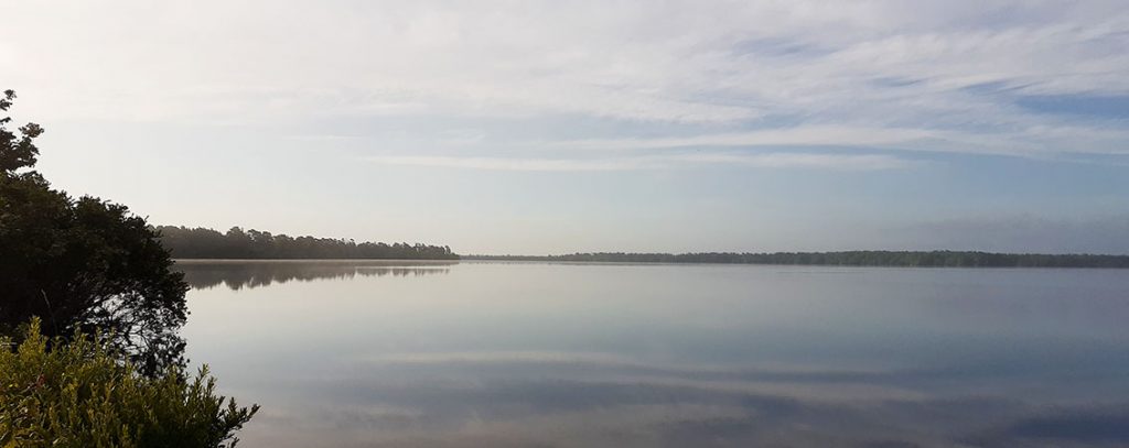 Catfish Lake in the Croatan National Forest.