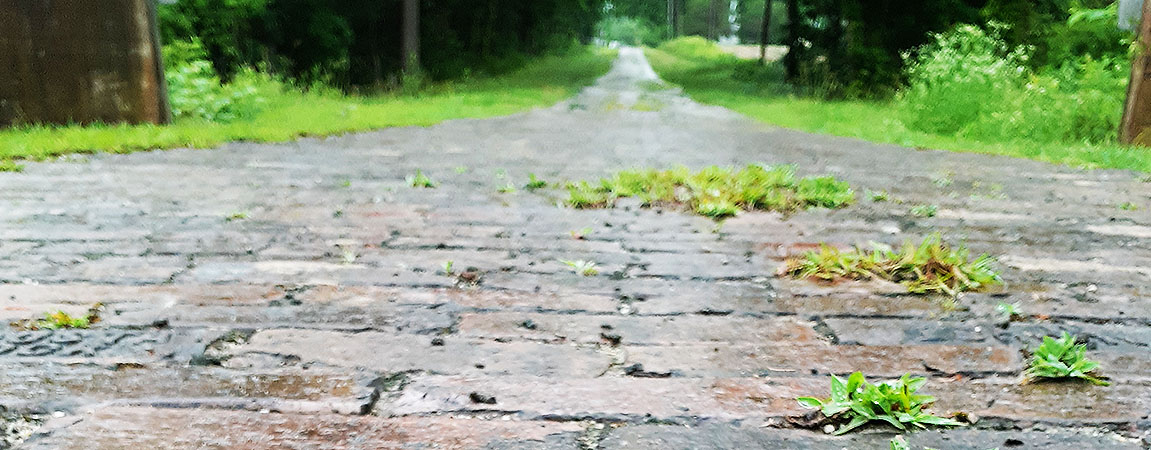Follow the Brick Road Where will the road lead?