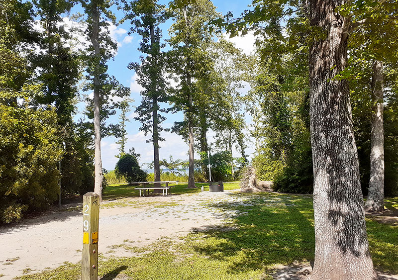 Neuse River Campground.