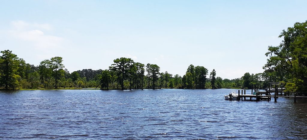 Trent River