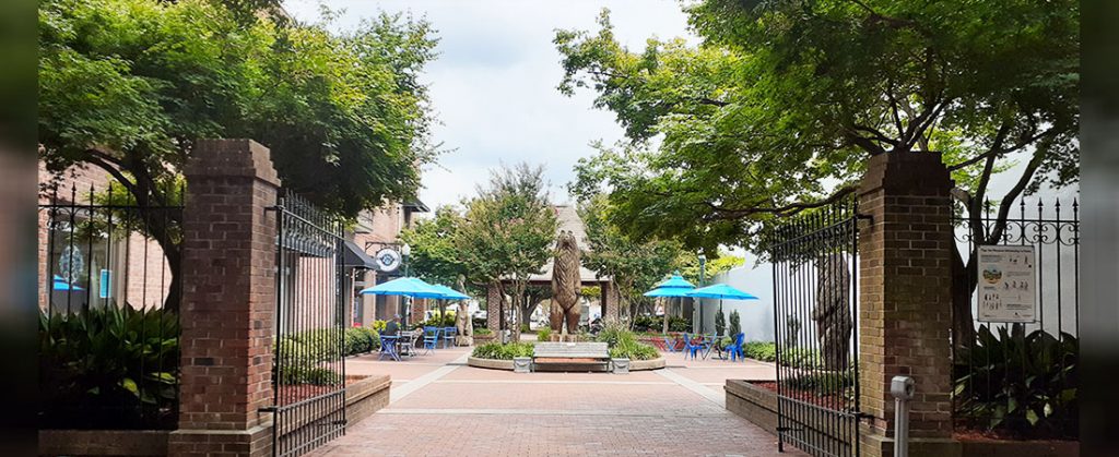 Bear Plaza in Downtown New Bern