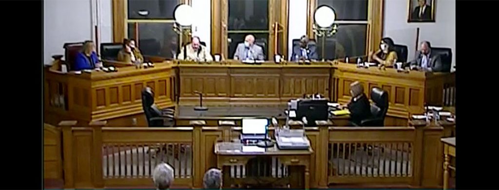 Screen Shot New Bern Board of Aldermen Meeting – March 9, 2021