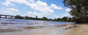 Trent River Bridge