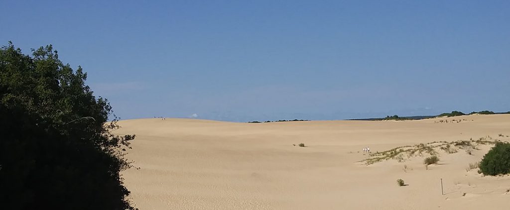 Jockey's Ridge