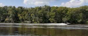 Jet Skiing on Neuse River