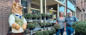 Mums at Mitchell Hardware