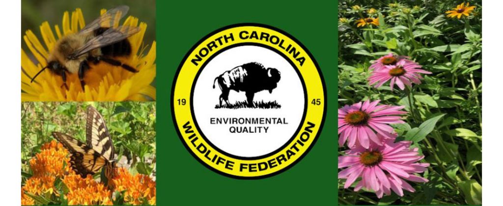 NC Wildlife Federation