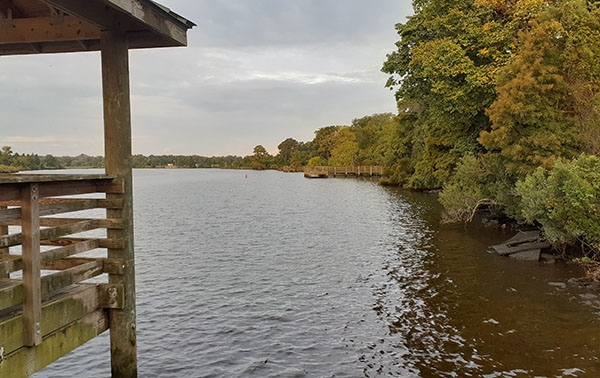 Fishing in the Trent River