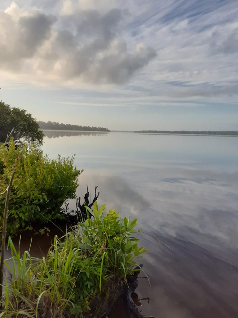 Catfish Lake in the Croatan National Forest