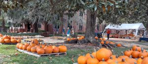 Christ Church's Pumpkin Patch