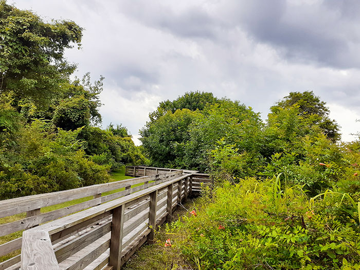 Boardwalk at Lawson Creek Park