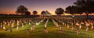 Field of flags at Union Point in New Bern NC (photo by Tom McCabe)