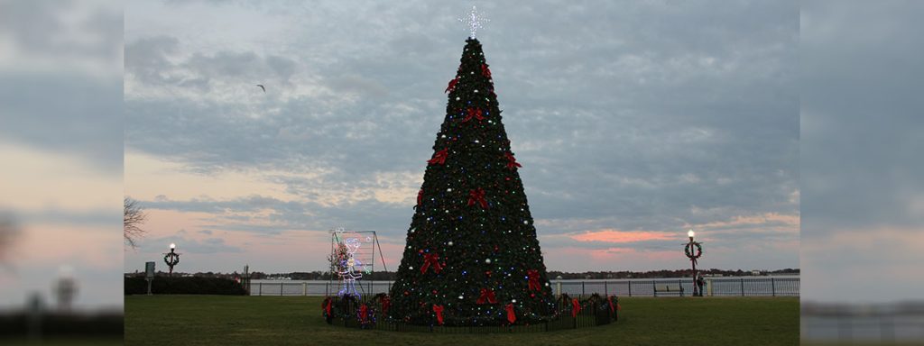 Community Christmas Tree in Downtown New Bern NC
