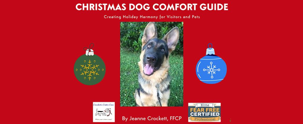 Holiday Dog Comfort Guide