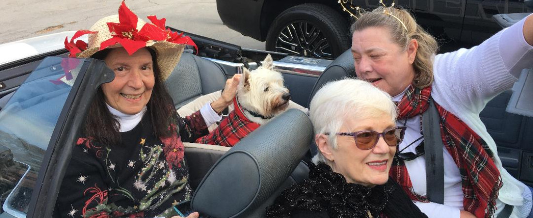 rent Woods Garden Club Christmas Parade members in convertible