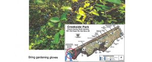 Clean up invasive plants at Creekside Park in New Bern, NC