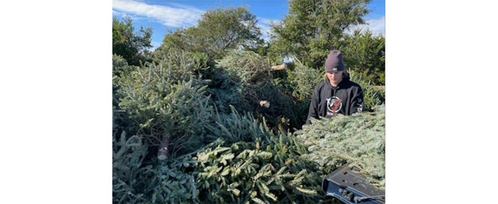 New Bern High School Marching Band Drum Major Ethan Chapman unloading Christmas trees at the Ft. Macon dunes